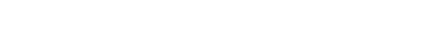 Starion Group logo